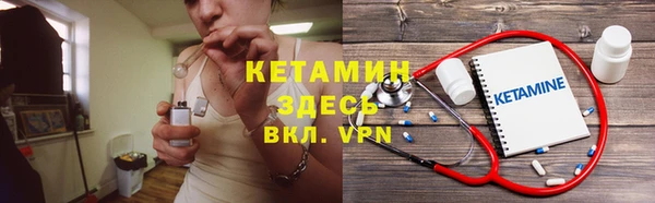 шишки Покачи