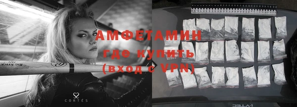 шишки Покачи