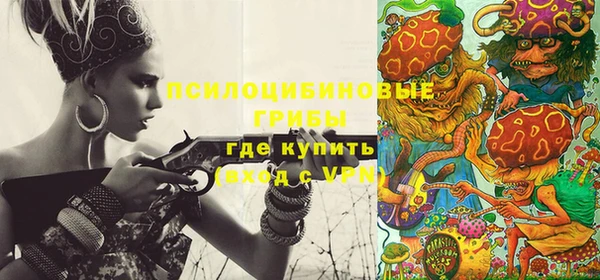 шишки Покачи
