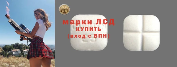 шишки Покачи