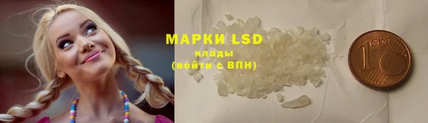 шишки Покачи