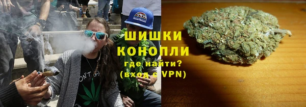 шишки Покачи