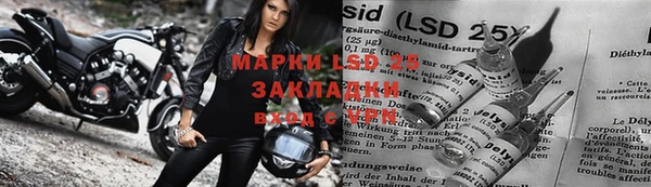 шишки Покачи