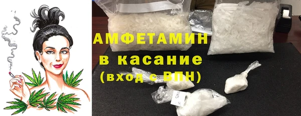 шишки Покачи