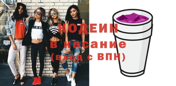 шишки Покачи