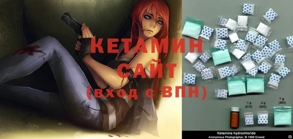 шишки Покачи