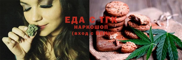 шишки Покачи