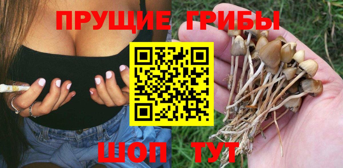 Псилоцибиновые грибы MAGIC MUSHROOMS Вязьма