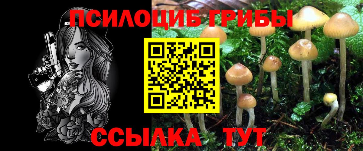 купить закладку  Галлюциногенные грибы Magic Shrooms  Вход с VPN  Вязьма 